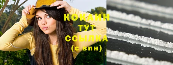 шишки Болхов