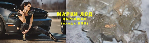индика Белокуриха