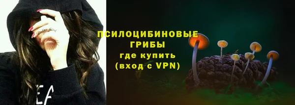 индика Белокуриха