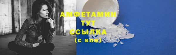 индика Белокуриха