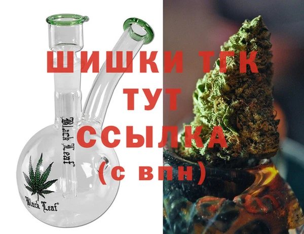 индика Белокуриха