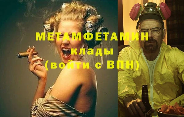 индика Белокуриха